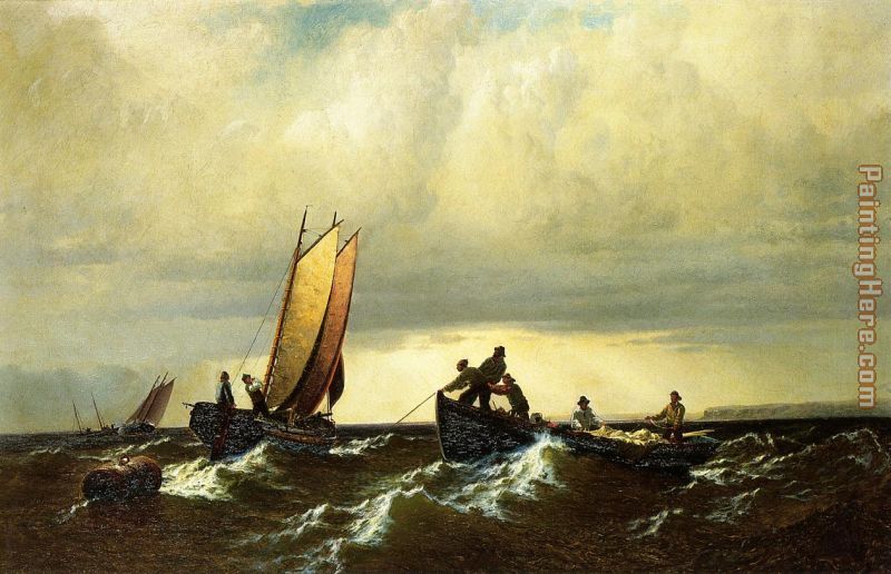 Fishing Boats on the Bay of Fundy i